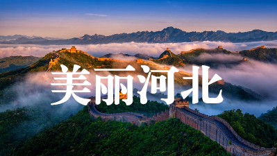 xc体育加速节点