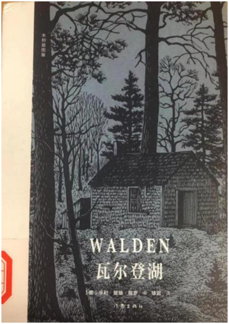 xc体育安全通道图片
