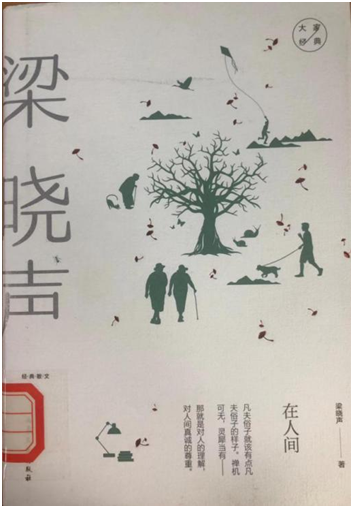 xc体育安全通道图片