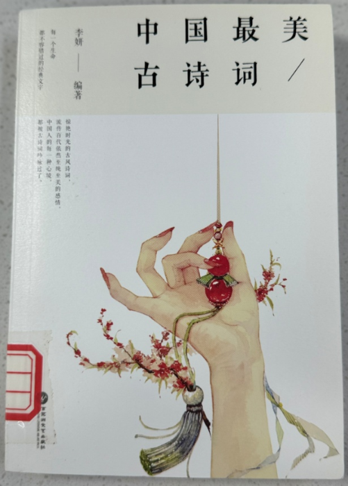 图片6