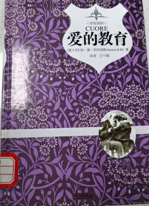 图片9