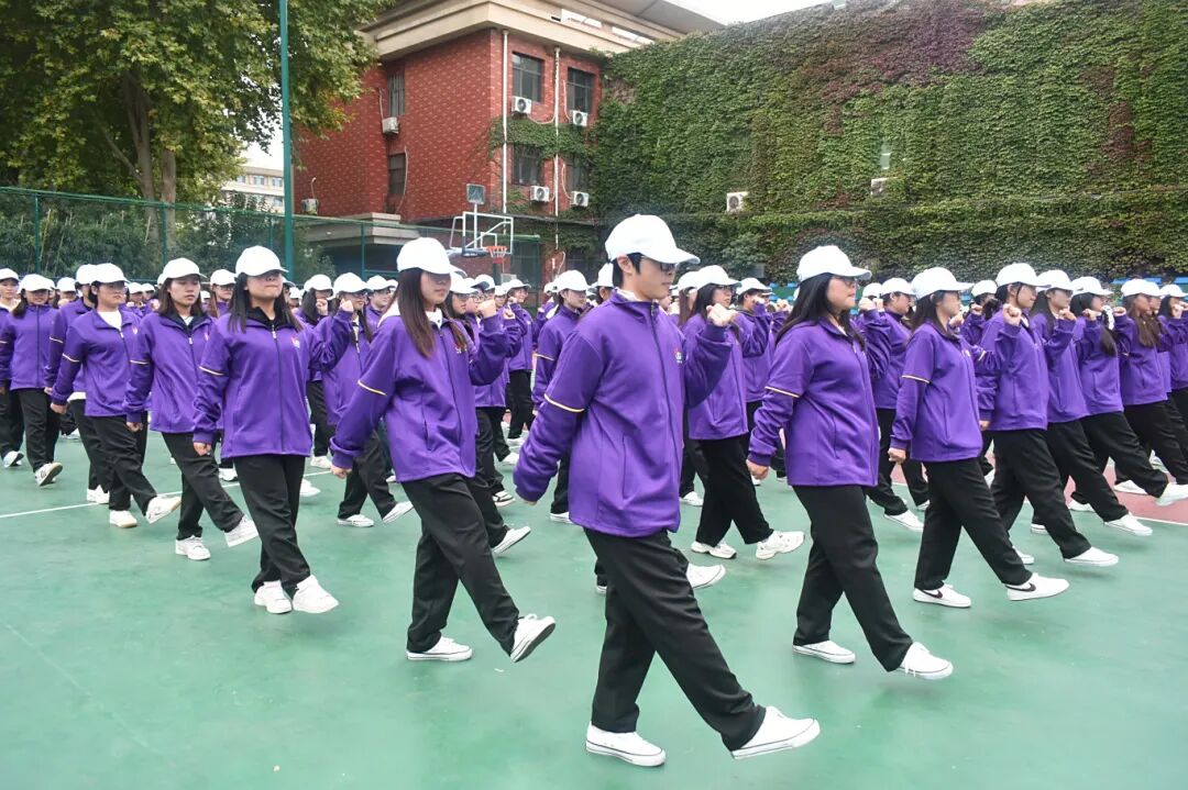 xc体育备用网址图片